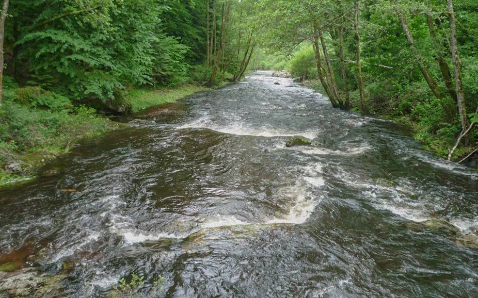 camping biodiversite